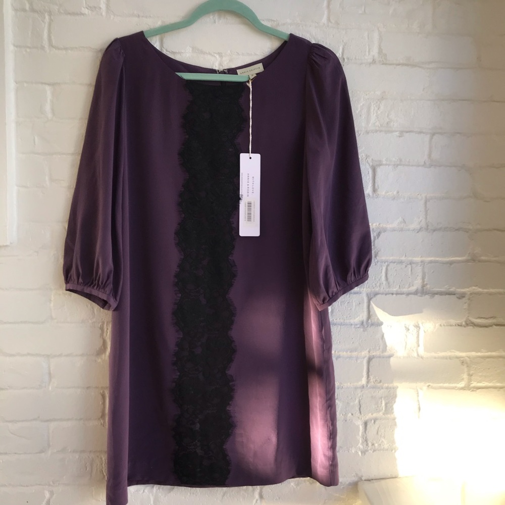 NWT Annie Griffin Silk Dress
